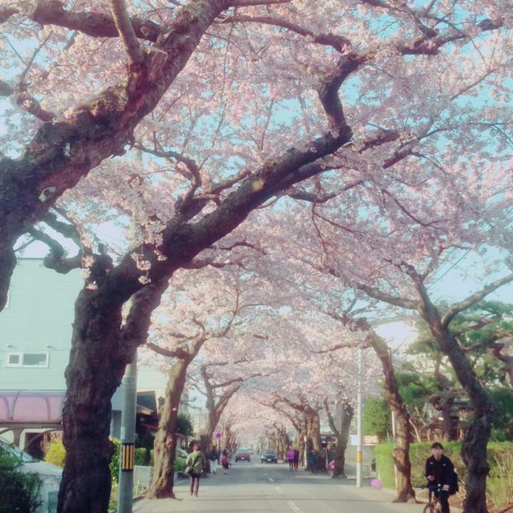 Akeboshi